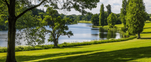 Screen Shot 2016-06-20 at 15.08.01